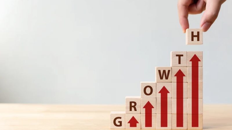 From Numbers to Strategy: How Amortization Expense Shapes Business Growth